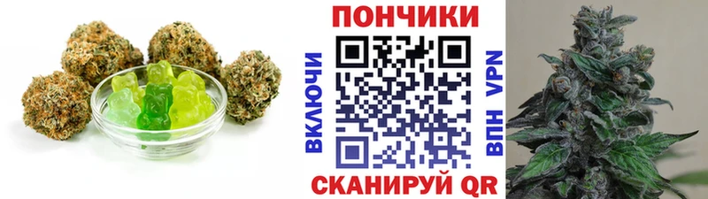 Cannafood марихуана  Купить закладки  Сысерть 
