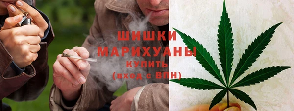 трава Горнозаводск