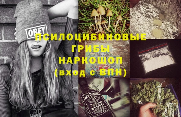 Альфа ПВП Горно-Алтайск