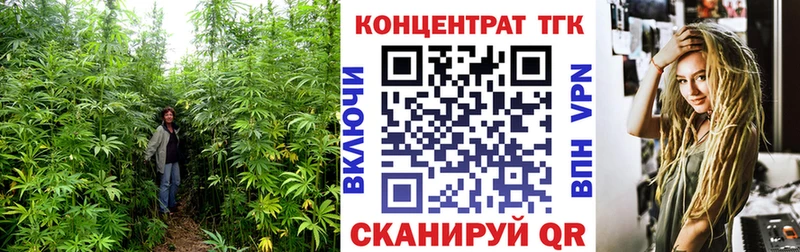 Купить где Сысерть Дистиллят ТГК THC oil